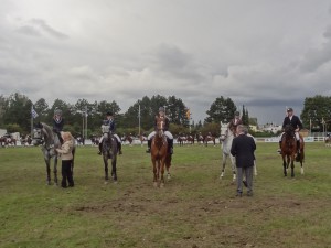 DSC06222b