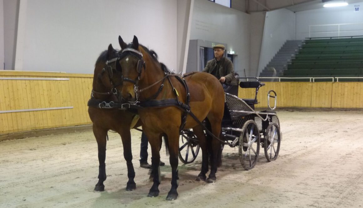 Fahrlehrgang1476